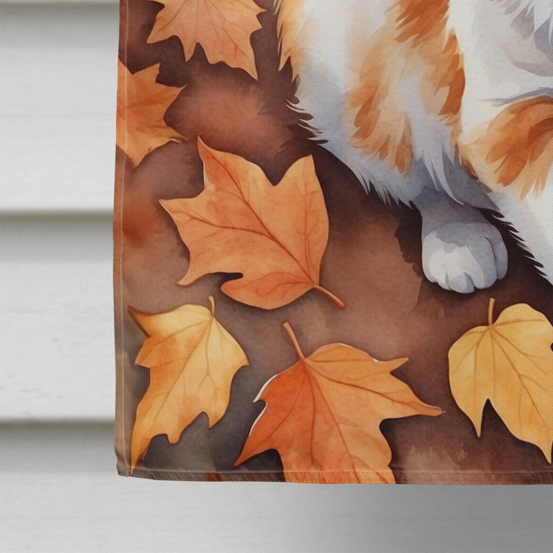Chat en feuilles d'automne, Turc de Van