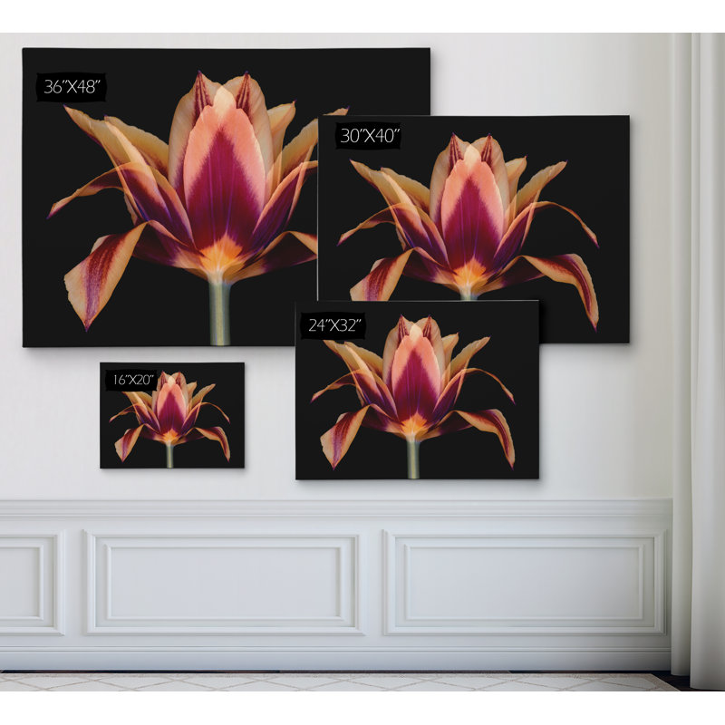 « red tulipe », reproduction d’impression sur toile tendue, H 16 po x l 20 po x P 1,5 po, Toile tendue
