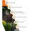 Pagoda Bulb Solar Lamp Post