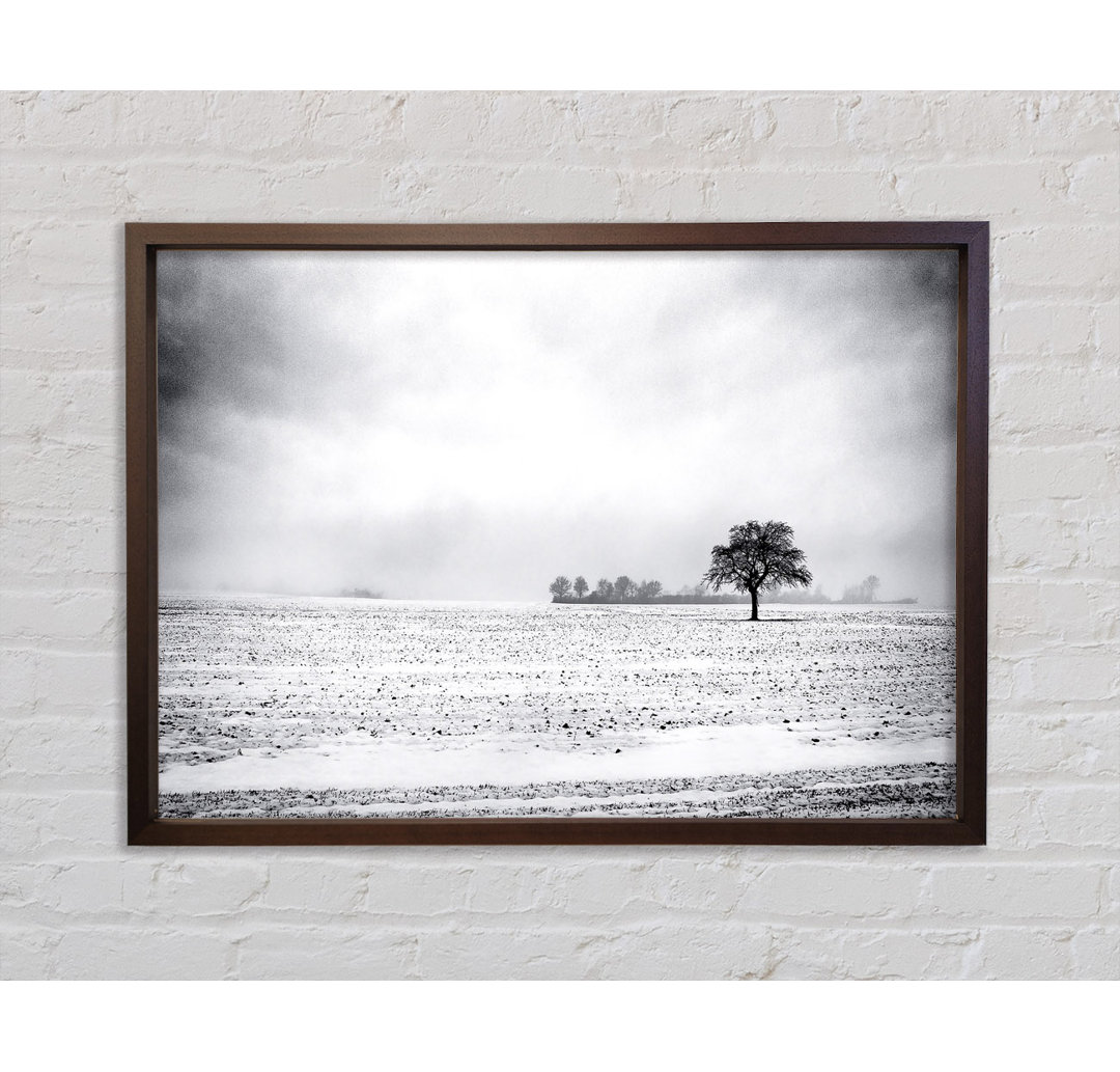 Empty Field Winter - Einzelne Bilderrahmen Kunstdrucke auf Leinwand