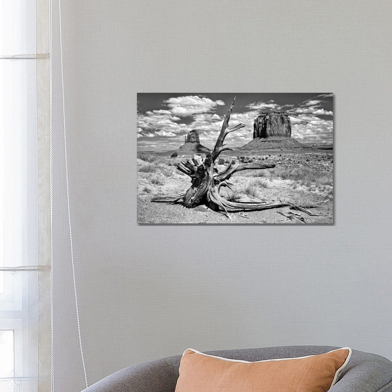 B&W Desert View V by David Drost - Wrapped Canvas Panoramic Print, 66.04 cm H x 45.72 cm W x 1.91 cm D