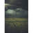 Cotton Indoor Rug-1814826590