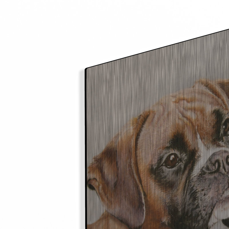 «Boxer» par Janet Pidoux, H 24 po x l 16 po