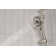 Precept Full/Standard Handheld Shower Head 1.5 GPM GPM