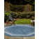 Swanee Indoor / Outdoor Rug