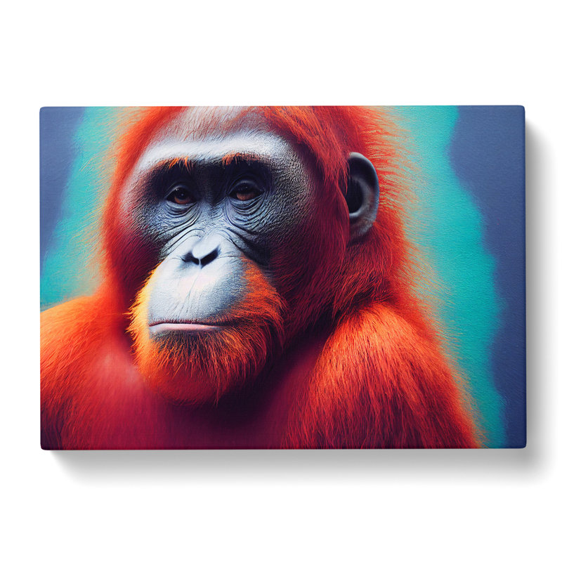 Orangutan Portrait Vol.1 - Wrapped Canvas, 35cm H x 50cm W x 3cm D