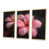 Toile naturelle avec cadre flottant