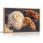 «Layered Cream and Orange Rock Formations», art mural sur toile sable foncé-841349280