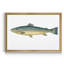«Small Small Antique Fish V», reproduction d'art graphique sur toile-2078499884-2078499881