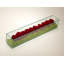 Preserved Roses in Rectangular Glass Box-210789864