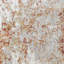 Tapis orange / gris Holly-1711077526