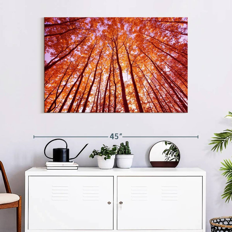 Alvord Bright Autumn Forest