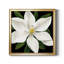 «Midnight Magnolia I», reproduction encadrée de qualité supérieure - prête à être accrochée-1312906268-1312929613-1312969340