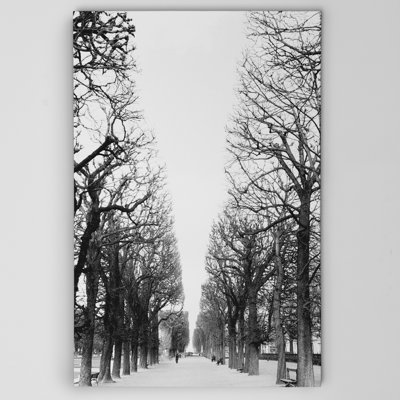 « french avenue » par danita delimont reproduction, reproduction de photo sur toile tendue encadrée