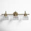 Rosser 3 Light Transparent Dimmable Vanity Light-1314678720