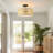 Arlenis Plastic Semi Flush Mount