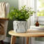 Motif floral en céramique Adeline Planter-1817239597-1817239599