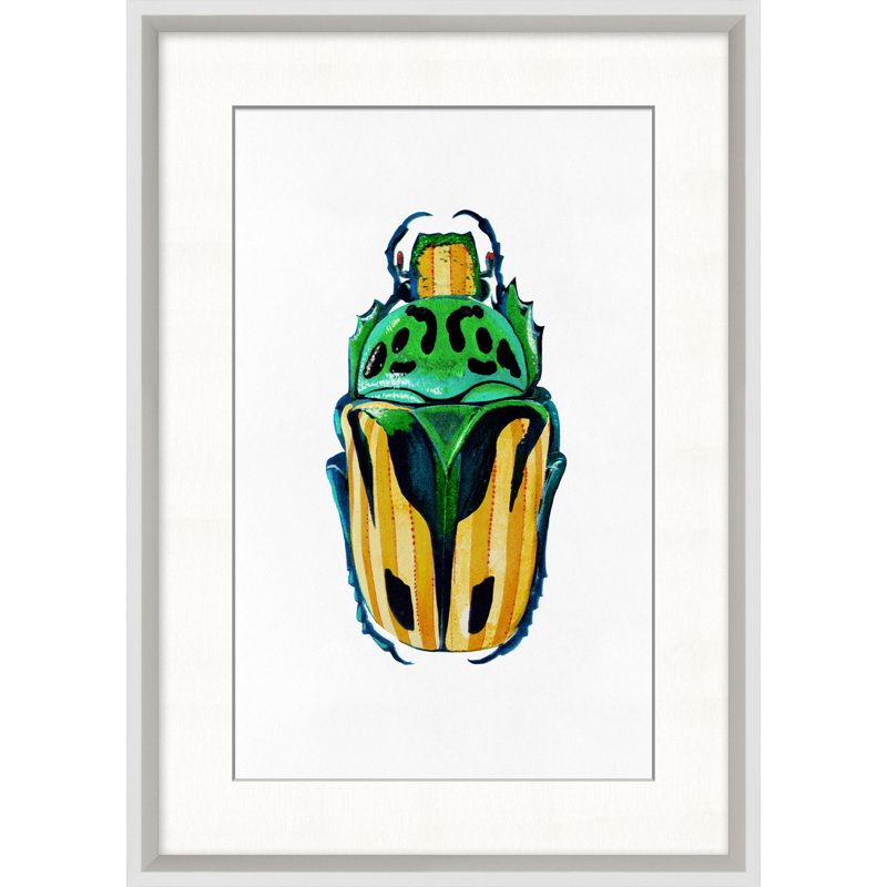 Rainbow Insect 3