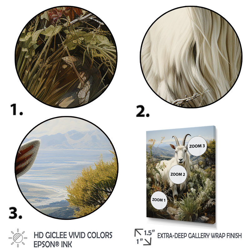 «White Meadow Buck Goat Peaks», art mural animal de chèvre, Cadre flottant noir, 32" H x 24" W