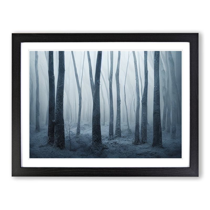 Tremendous Winter Forest - Single Picture Frame Print, Black, 46cm H x 64cm W x 2cm D