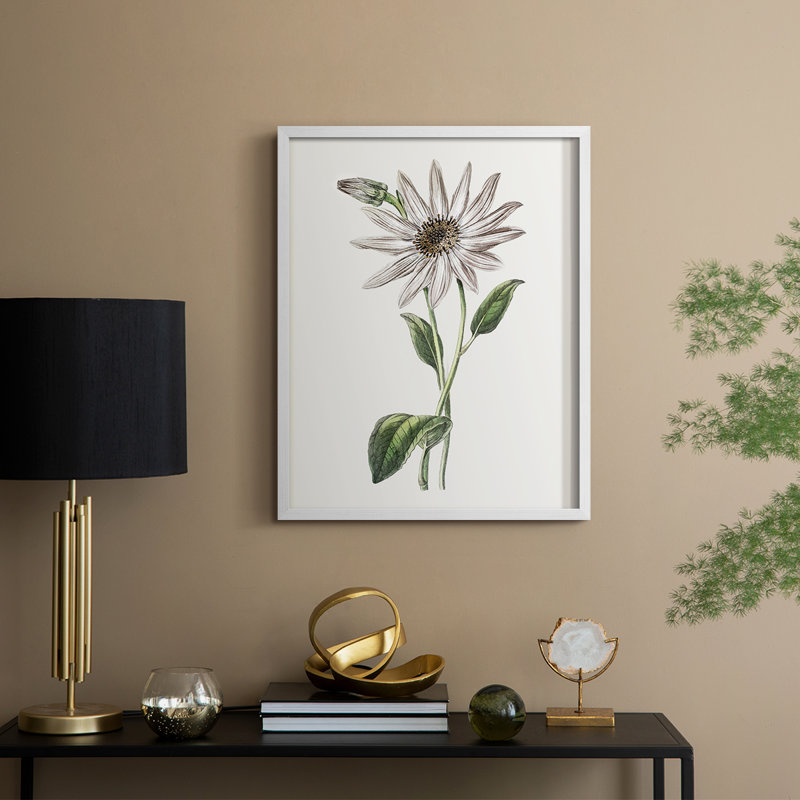 «Tropical Botanical III», reproduction encadrée - bois massif, H 15 po x l 12 po, Blanc