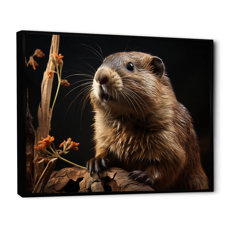 Portrait de castor sur toile, H 16 po x l 32 po x P 1 po, Cadre photo noir