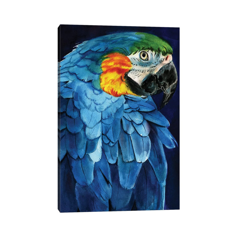 Blue Macaw by Rachel Parker - Wrapped Canvas Gallery-Wrapped Canvas Giclée, 20.32 cm H x 30.48 cm W