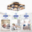Ventilateur de plafond à télécommande en bronze et or brossé, 22,6 po, avec flux d'air saisonnier, éclairage DEL