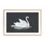 Impression du guide du cygne silencieux-1864336694-1864336702-1868803655