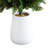 3ft. UV Resistant Artificial Cedar Tree in Decorative White Planter (Indoor/Outdoor)