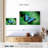 Blue Morpho On Leaf-1561926594