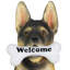 Statuette berger allemand Exhart
