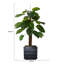 Plante à feuillage artificiel 40 po Panama-2032339932