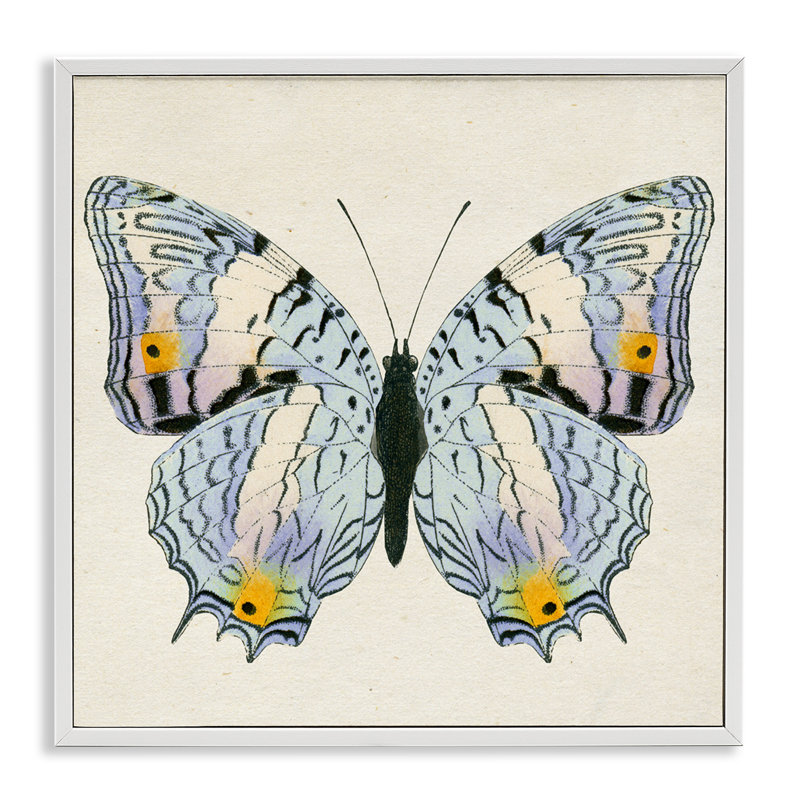  Papillon avec détails, estampe numérique par Susan Arnot, H 12 po x l 12 po, Estampe numérique encadrée blanc bord de mer