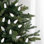 Lumières de Noël à facettes 100 lumières C9 à DEL - fil vert 66 pi