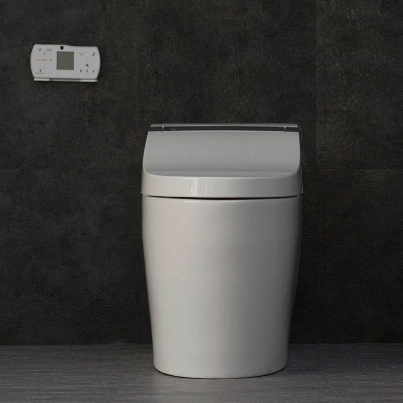 White Ceramic Smart Bidet Toilet with Heated Seat and Auto Flush