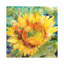 «Sunshower» par Annelein Beukenkamp, impression sur toile tendue-55900586