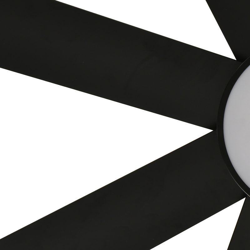 Ventilateur de plafond intelligent à 8 pales 60 pouces avec lumière Maiju, Noir et or, Noir
