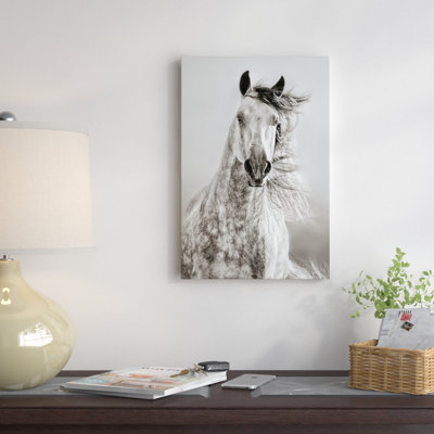 Caballo de andaluz, peinture sur toile tendue