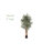 Faux Bamboo Tree in Pot-574465451