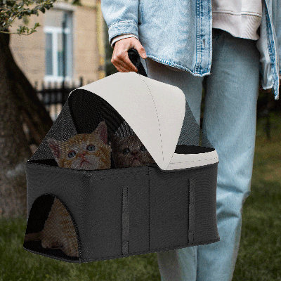 Folding Standard Stroller with Detachable Carrier