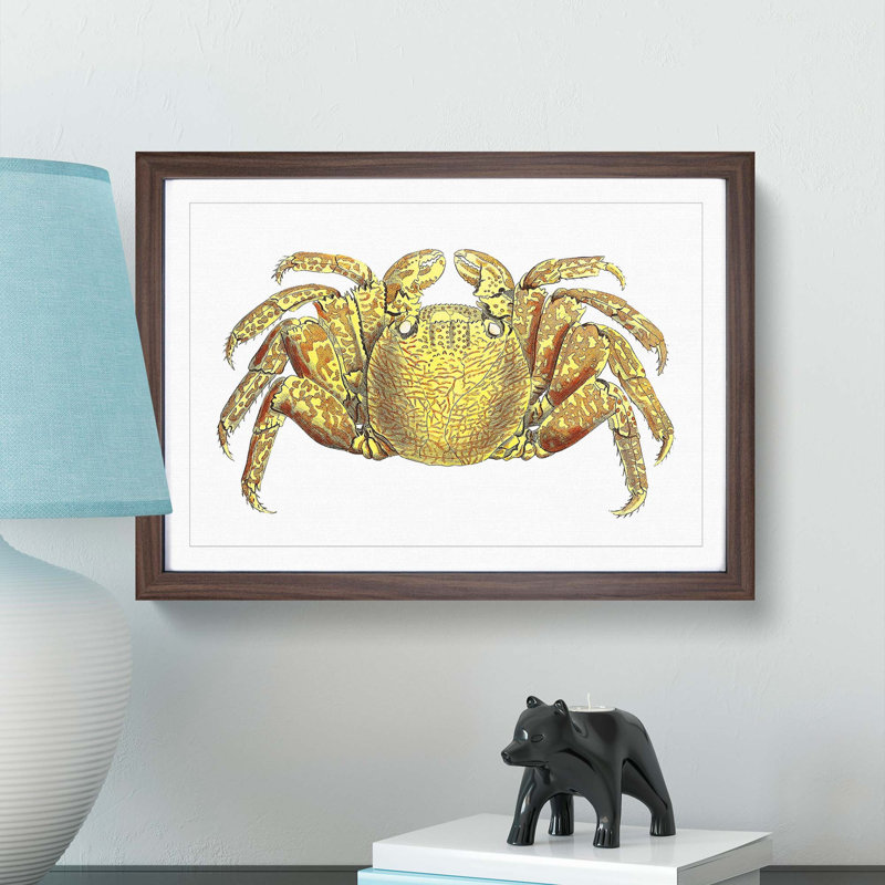 Crab by George Shaw - Framed Print, 36cm H x 48cm W x 2cm D, Walnut Framed