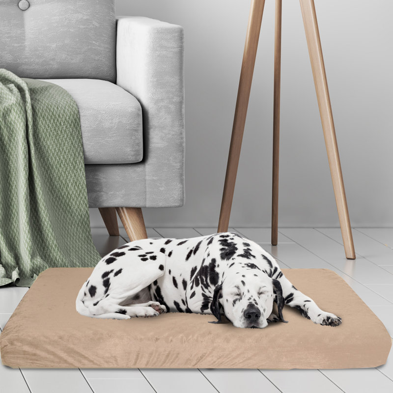 Large Tan Orthopedic Memory Foam Dog Bed with Removable Cover