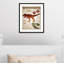Dinosaurs-01' Wall Decal-47836270-47836259