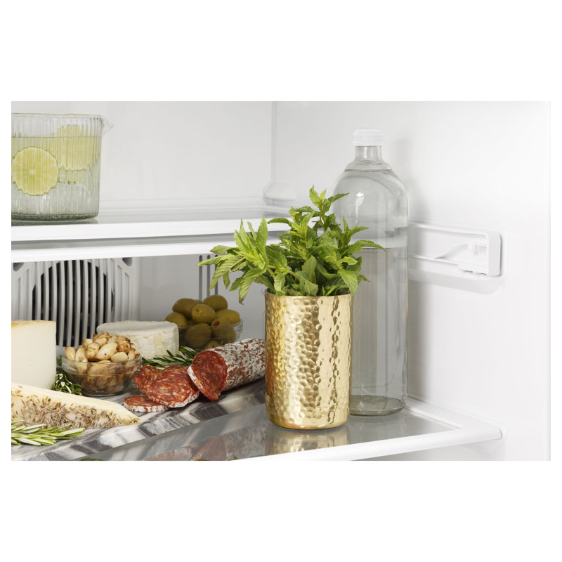 Monogram Appliances 23.44 W Mini Fridge, Minimalist