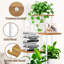 Plant Stand - Set of 6