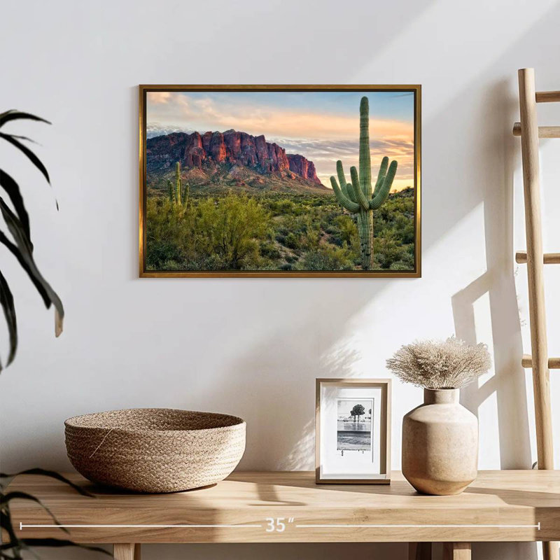 Cactus View II, Cadre flottant doré, 19 po x 13 po