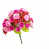 Rose millennial est en rupture de stock