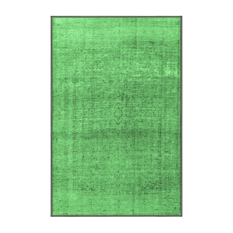 Eedie Oriental Indoor Rug