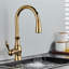 Fairmont Park Osterdock Pull Out Kitchen Faucet